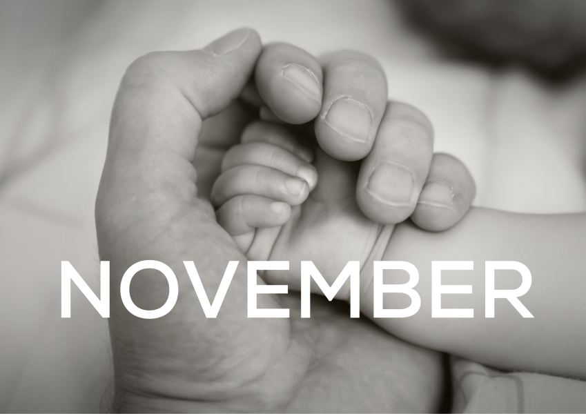 Online Workshops for Expectant Dads & Non-Birthing Partners - November
