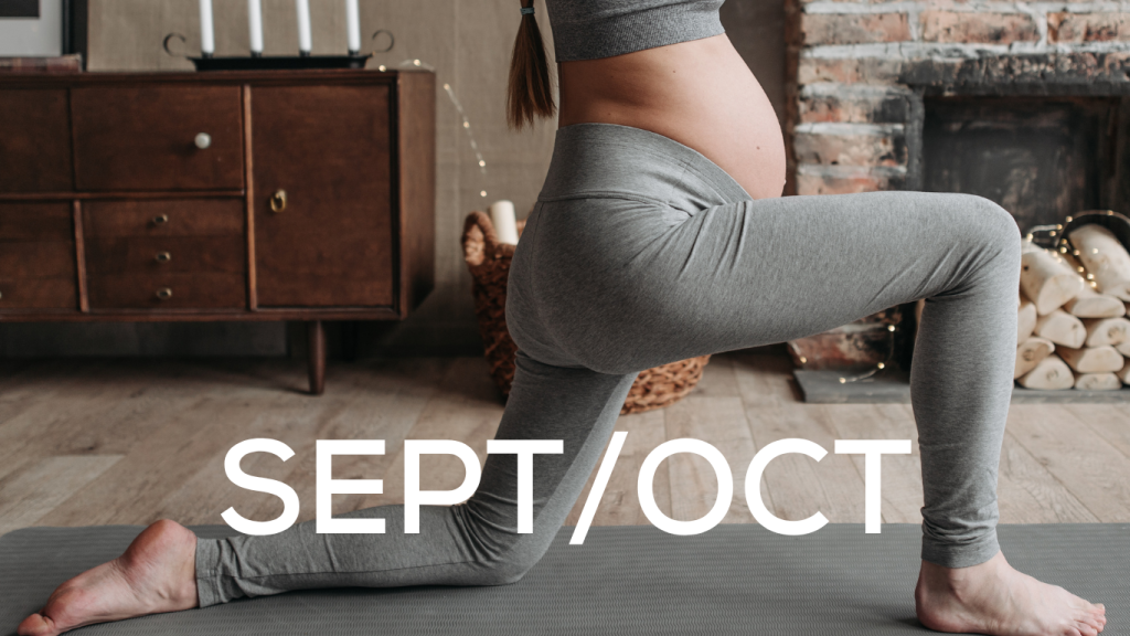 Fit for Mums - Online Pregnancy and Postnatal Fitness - September/October