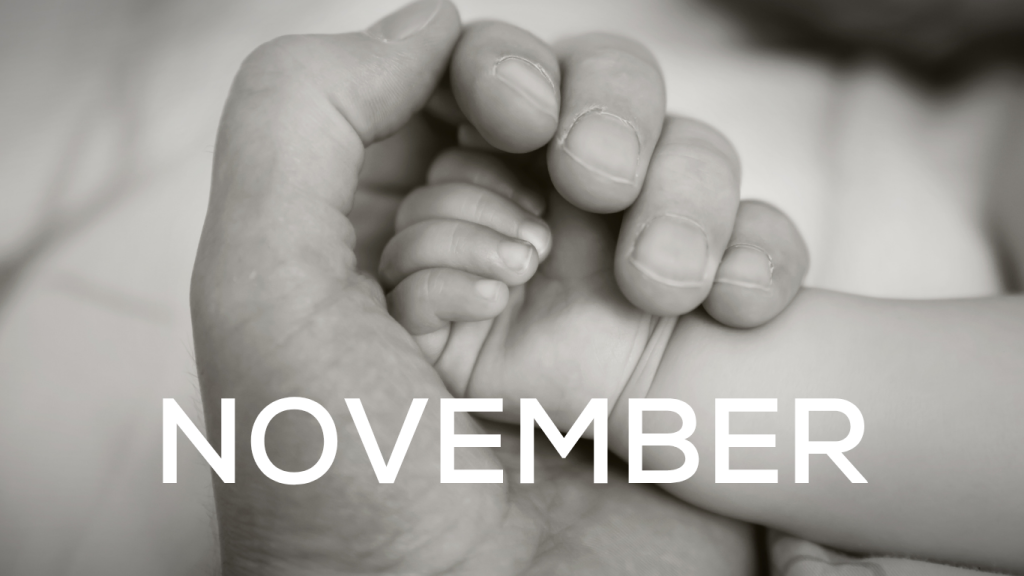 Online Workshops for Expectant Dads/Partners - November 2026