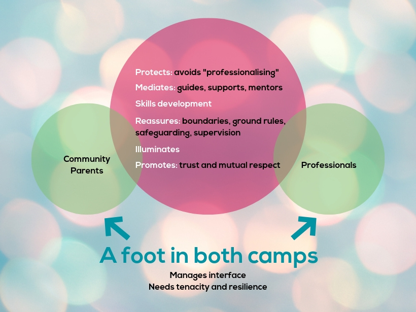 A foot in both camps protects mediates reassures illuminates promotes community parents professionals